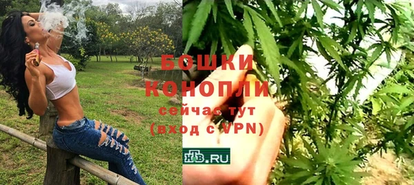 spice Касимов